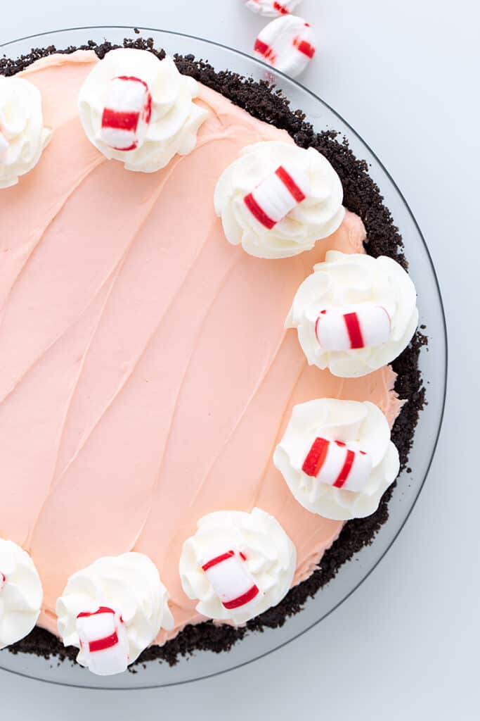 overhead photo of a pie with a mint beside the pie on a white surface