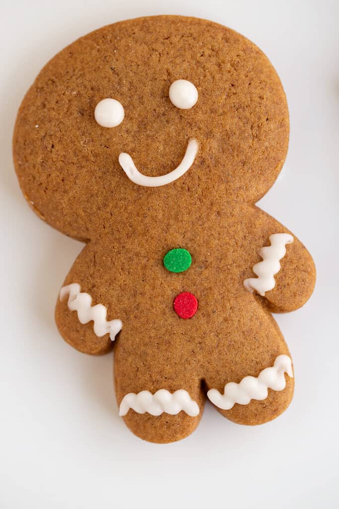 upclose image of a decorated gingerbread cookie