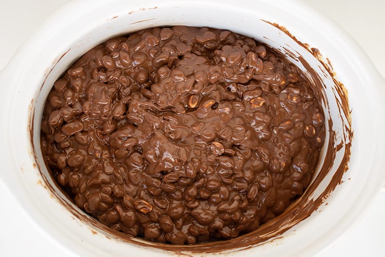 mixture completely melted in the crockpot