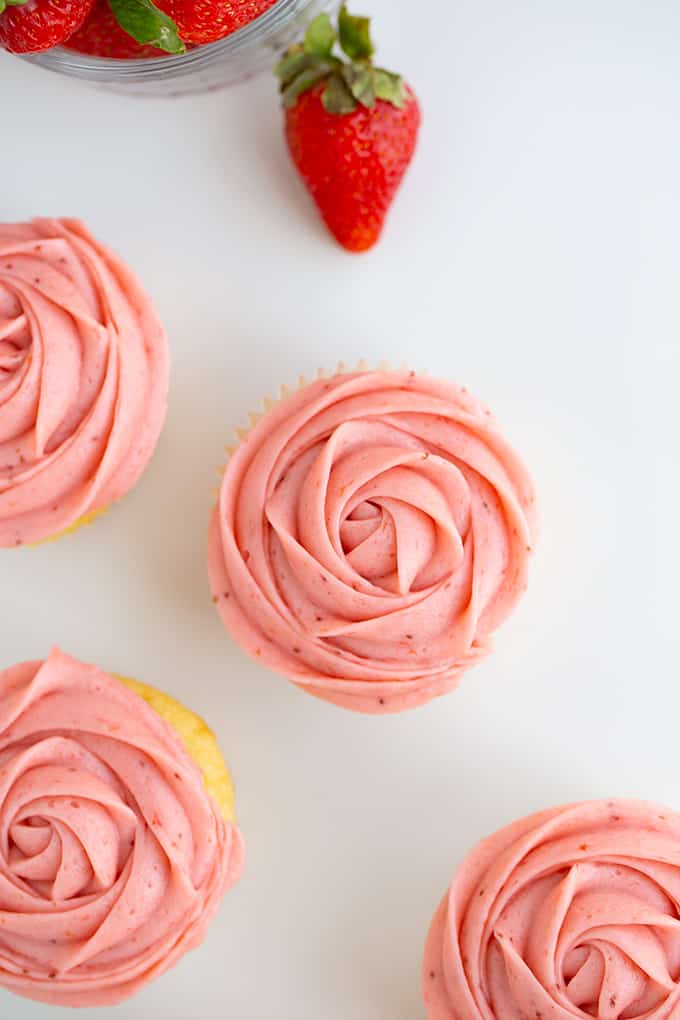 close up of a rose swirl on a cupcake with a white background