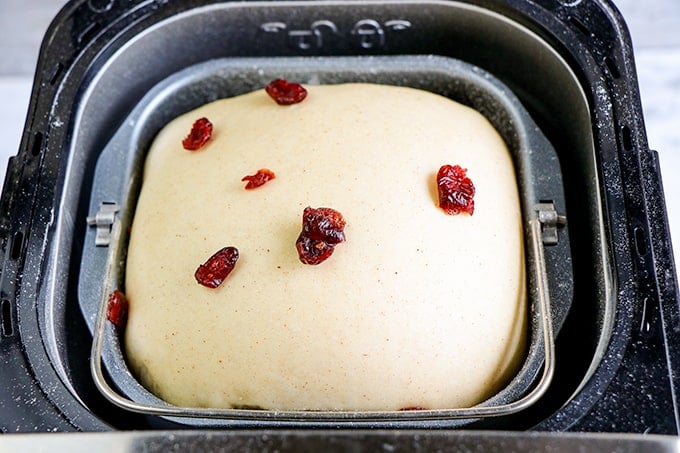 dough in a bread machine with craisins on top