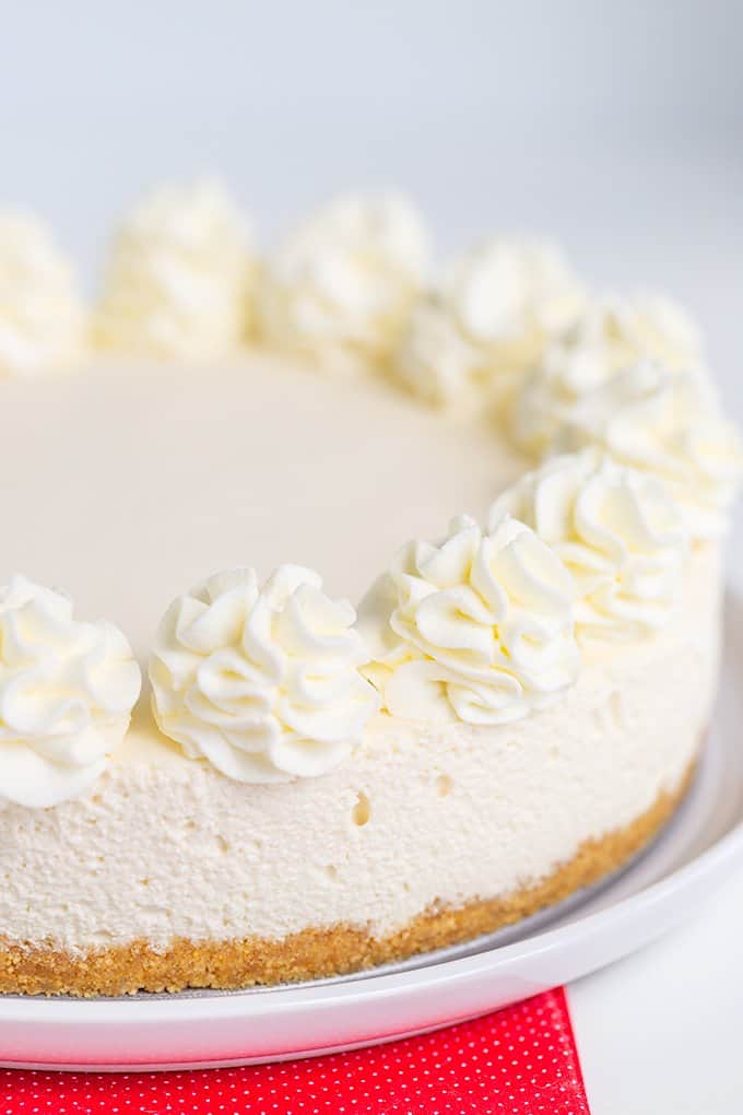 whole cheesecake on a white plate showing off the side of the cheesecake and the whipped cream swirls