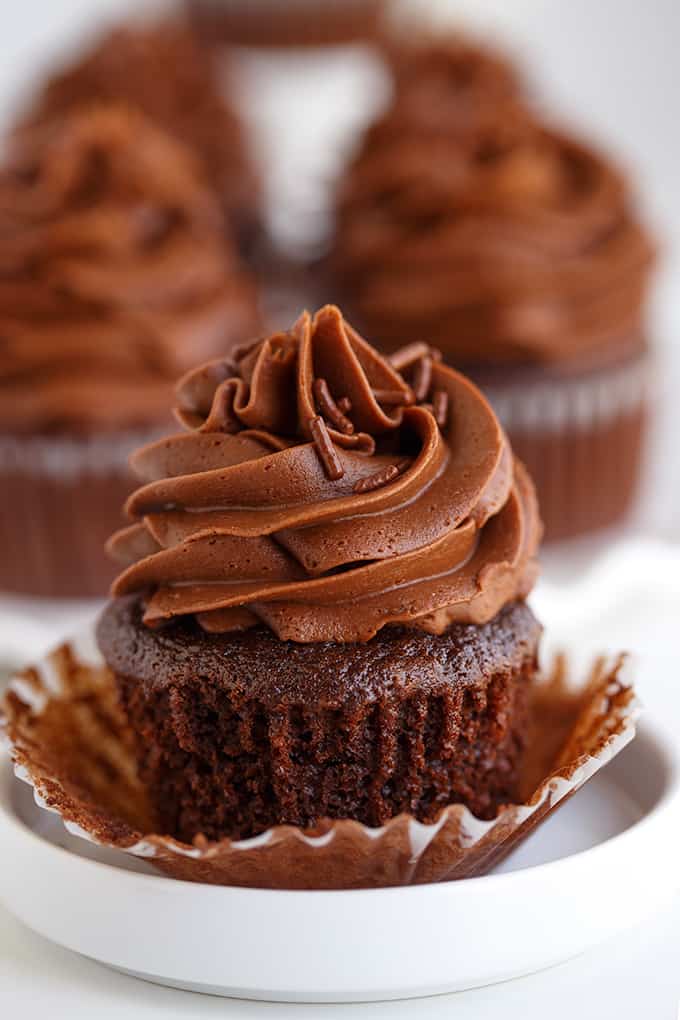 Chocolate Cupcakes