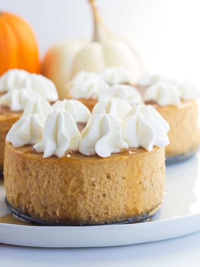 Mini Pumpkin Cheesecakes Story