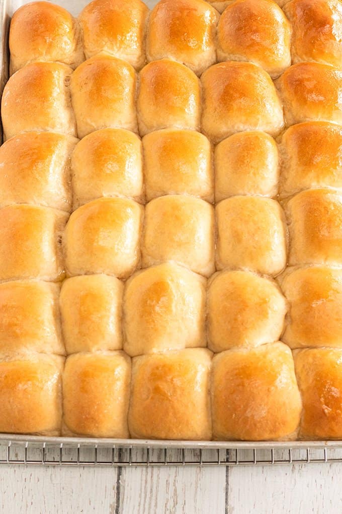 dinner rolls in a half sheet pan