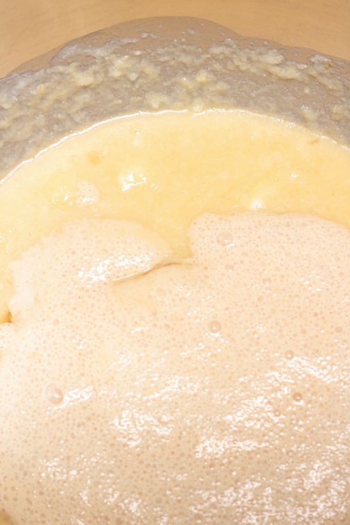 yeast being added to a metal stand mixing bowl with the rest of the wet ingredients