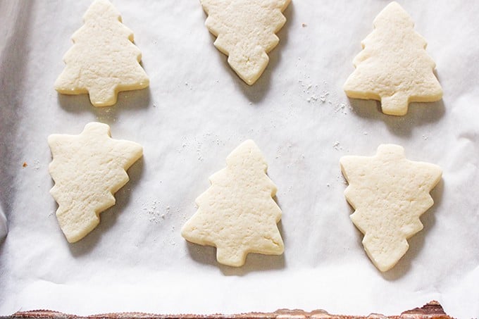 baked roll out cream cheese sugar cookies on a parchment lined cookie sheet