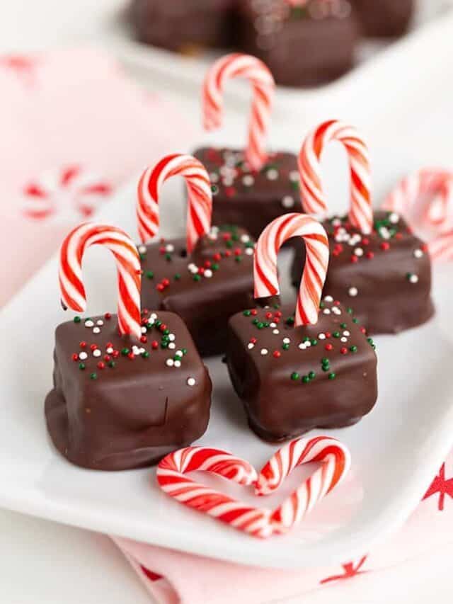 Candy Cane Cheesecake Bites Story