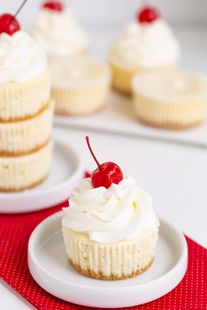 Mini Cheesecake Close-up on a plate, topped with whipped cream and a  cherry.