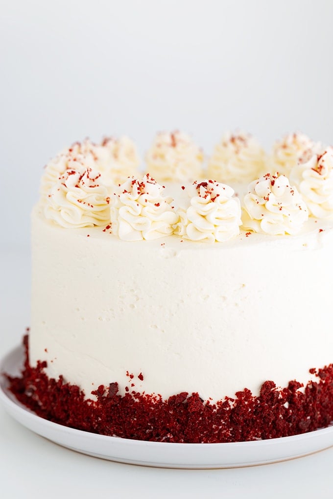 whole cheesecake cake on a white plate on a white surface