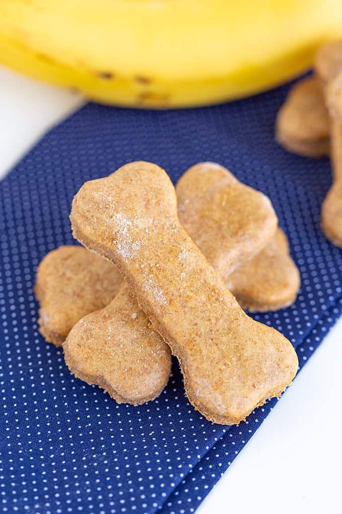 Peanut Butter and Banana Creamy Dog Treat