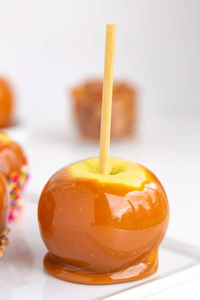 caramel apple on a stick on a white plate on a white surface with caramels behind it