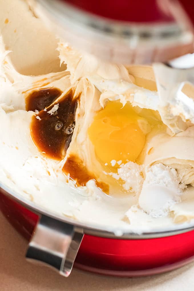 Ingredients in a mixer: cream cheese, egg, vanilla, flour.