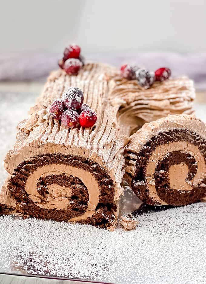 yule log cake on a cake boarrd with powdered sugar dusted on the cake and board