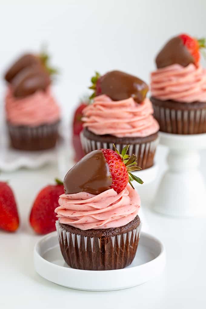 chocolate strawberry cupcakes on a small white plate on a white surface with strawberries and cupcakes behind it