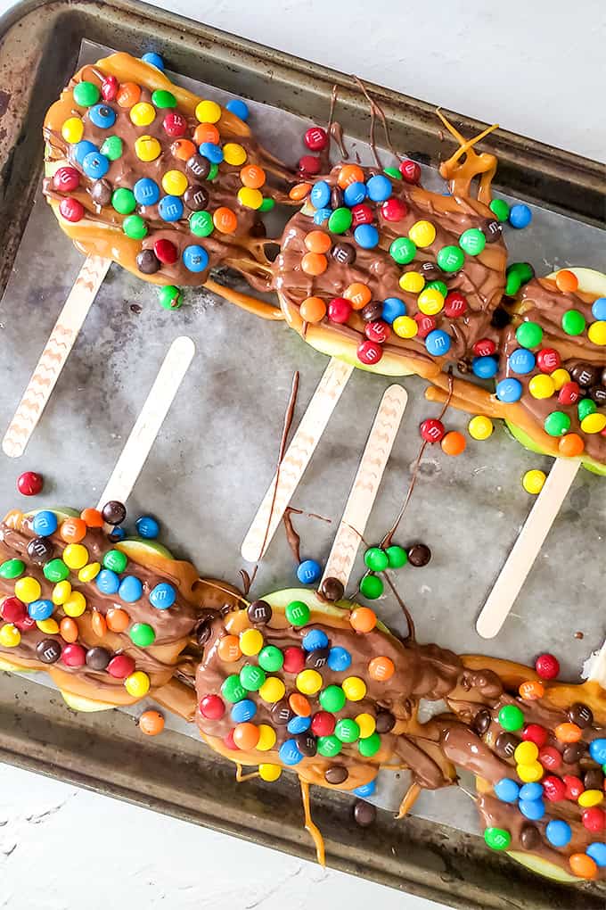 5.5 Candy and Caramel Apple Sticks