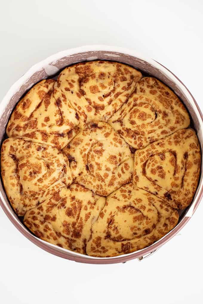 a springform pan filled with  a delectable cinnamon roll crust that's been flattened, pinched together, and baked on a white background