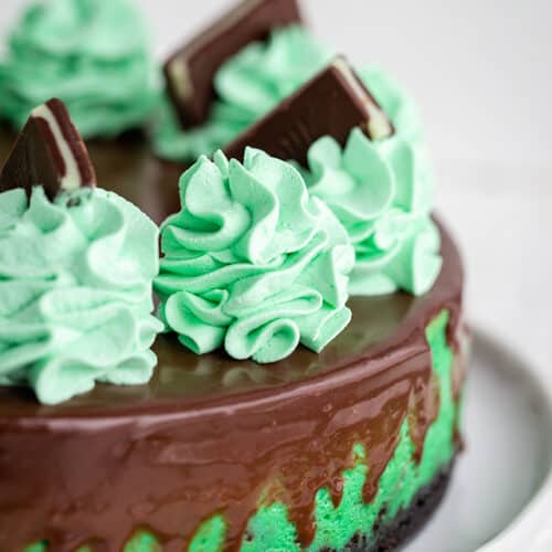 close up of mint whipped cream on mint chocolate cheesecake