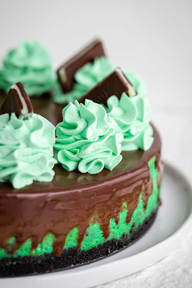 close up of mint whipped cream on mint chocolate cheesecake