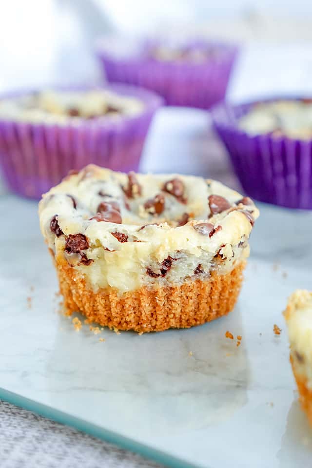 Mini Chocolate Chip Cheesecakes