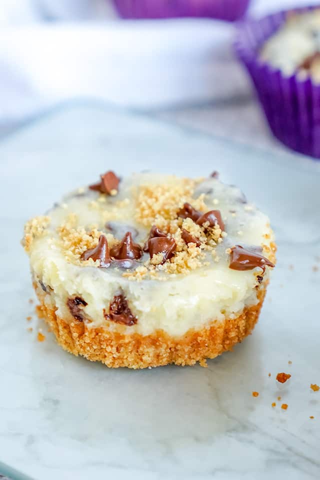 mini chocolate chip cheesecake on glass platter with crumbs