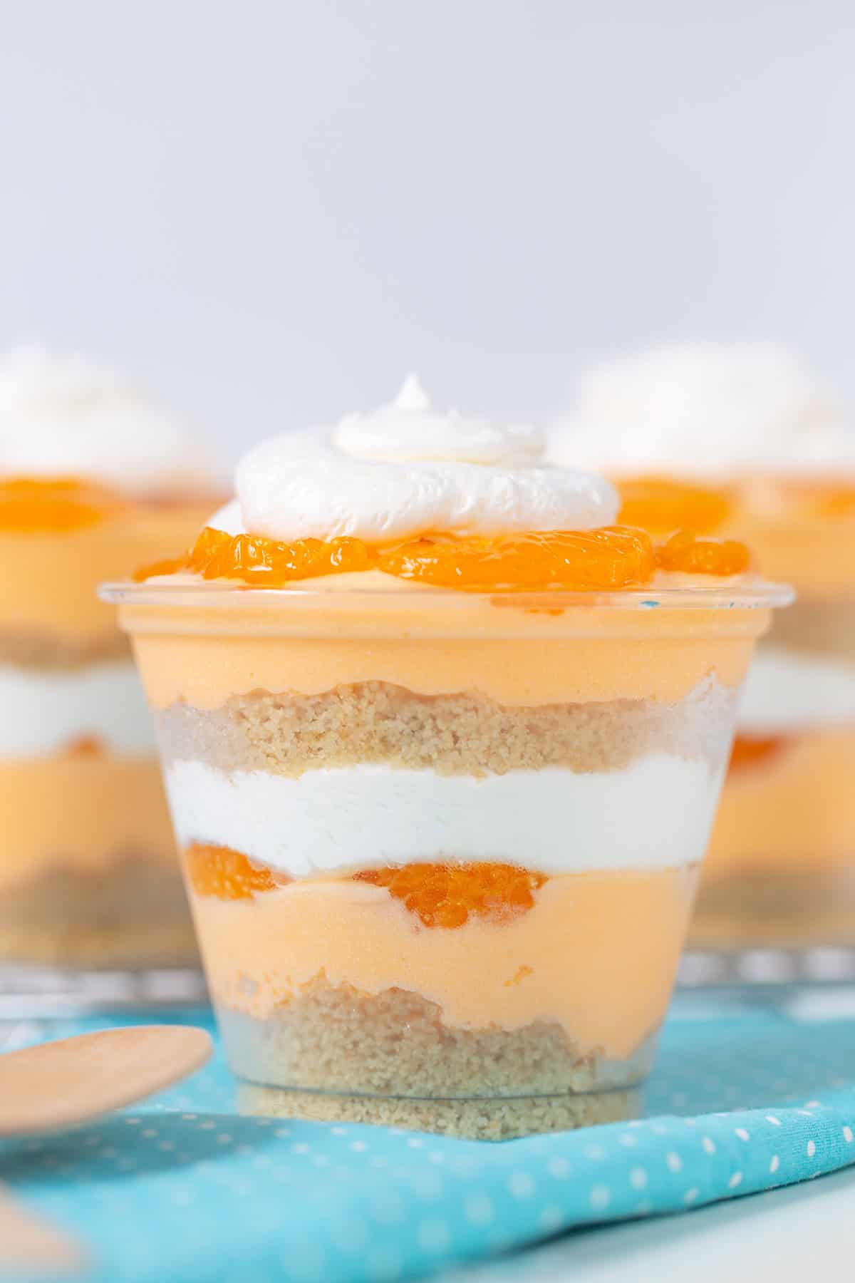 A layered creamsicle dessert cup with whipped cream topping. Layers include crumbled cookies, whipped cream, and an orange filling, garnished with orange segments and a dollop of whipped cream.