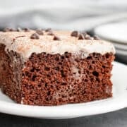 A slice of Chocolate Tres Leches Cake with light frosting and chocolate chips on top, served on a white plate.