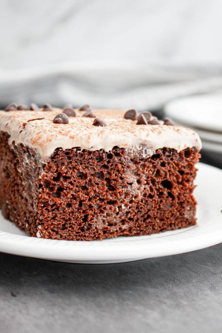 A slice of Chocolate Tres Leches Cake with light frosting and chocolate chips on top, served on a white plate.