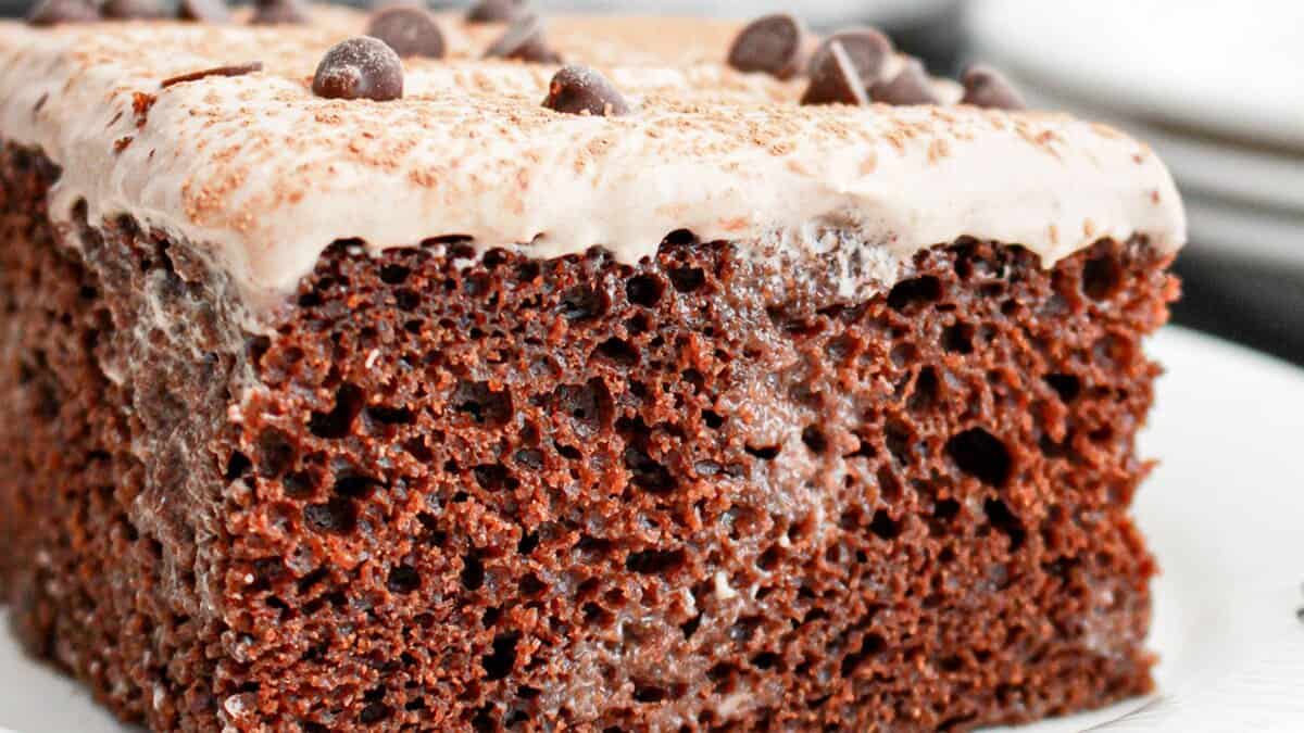 A close-up of a slice of chocolate cake with a layer of frosting and chocolate chips on top, served on a white plate&mdash;perfect for fans of decadent desserts.