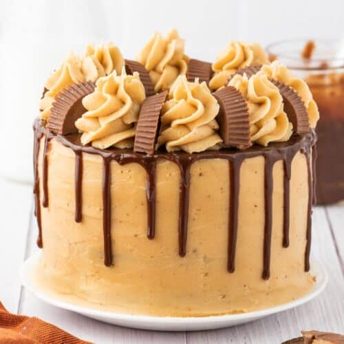 A round Peanut Butter Chocolate Cake with light brown frosting, chocolate drip, piped swirls on top, and pieces of peanut butter cups as decoration.