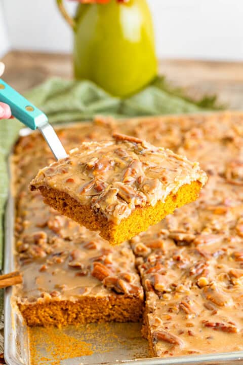 A hand holds a spatula lifting a square piece of Pumpkin Sheet Cake with glazed praline icing and chopped pecans from a larger tray of cake.