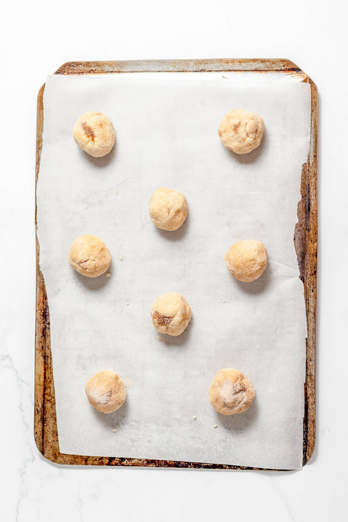 Seven cinnamon roll snickerdoodles coated in cinnamon sugar spaced out on a parchment-lined baking sheet.